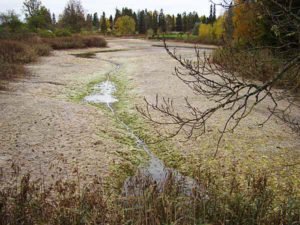 Järv 2006 aastal.